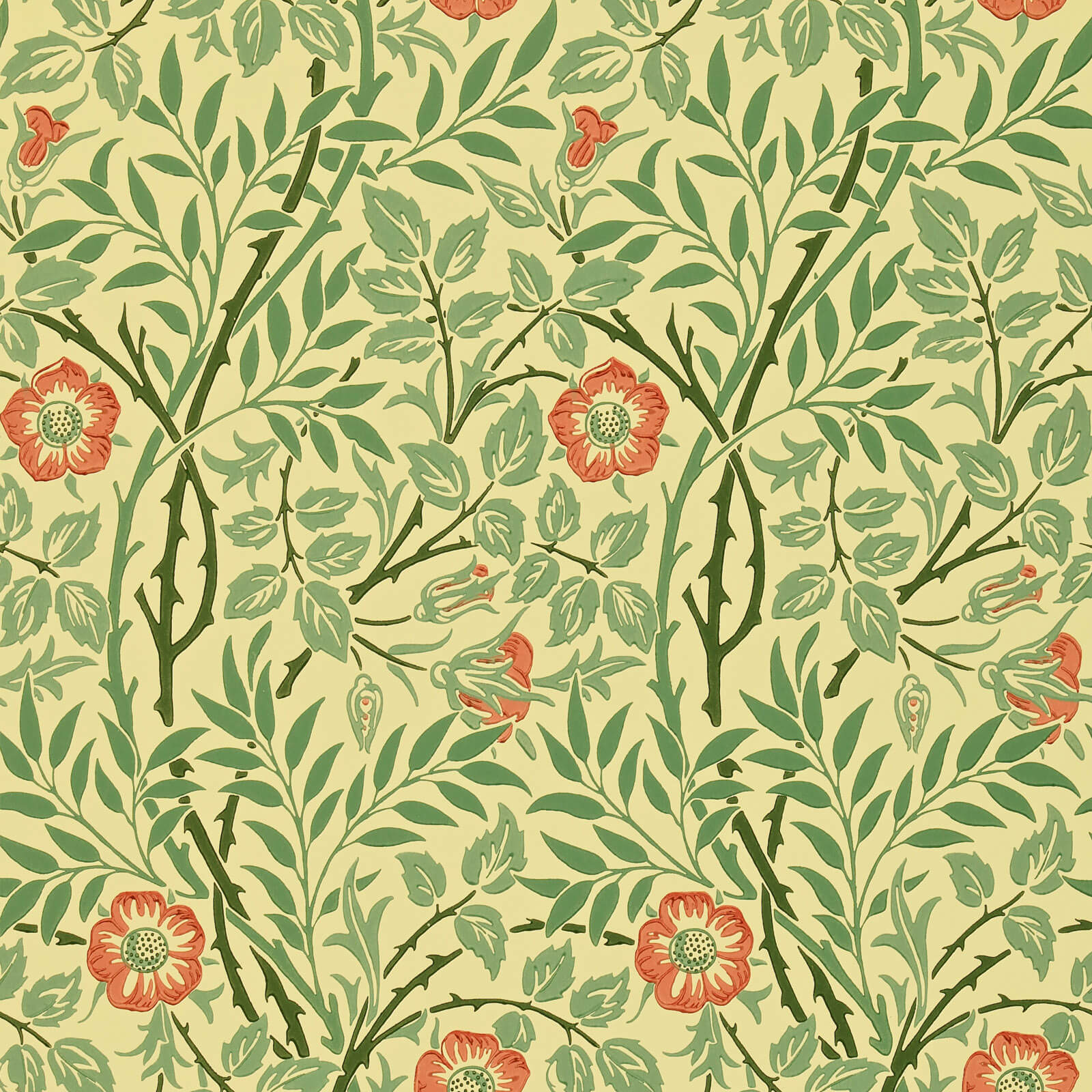 Sweet Briar Green/Rust