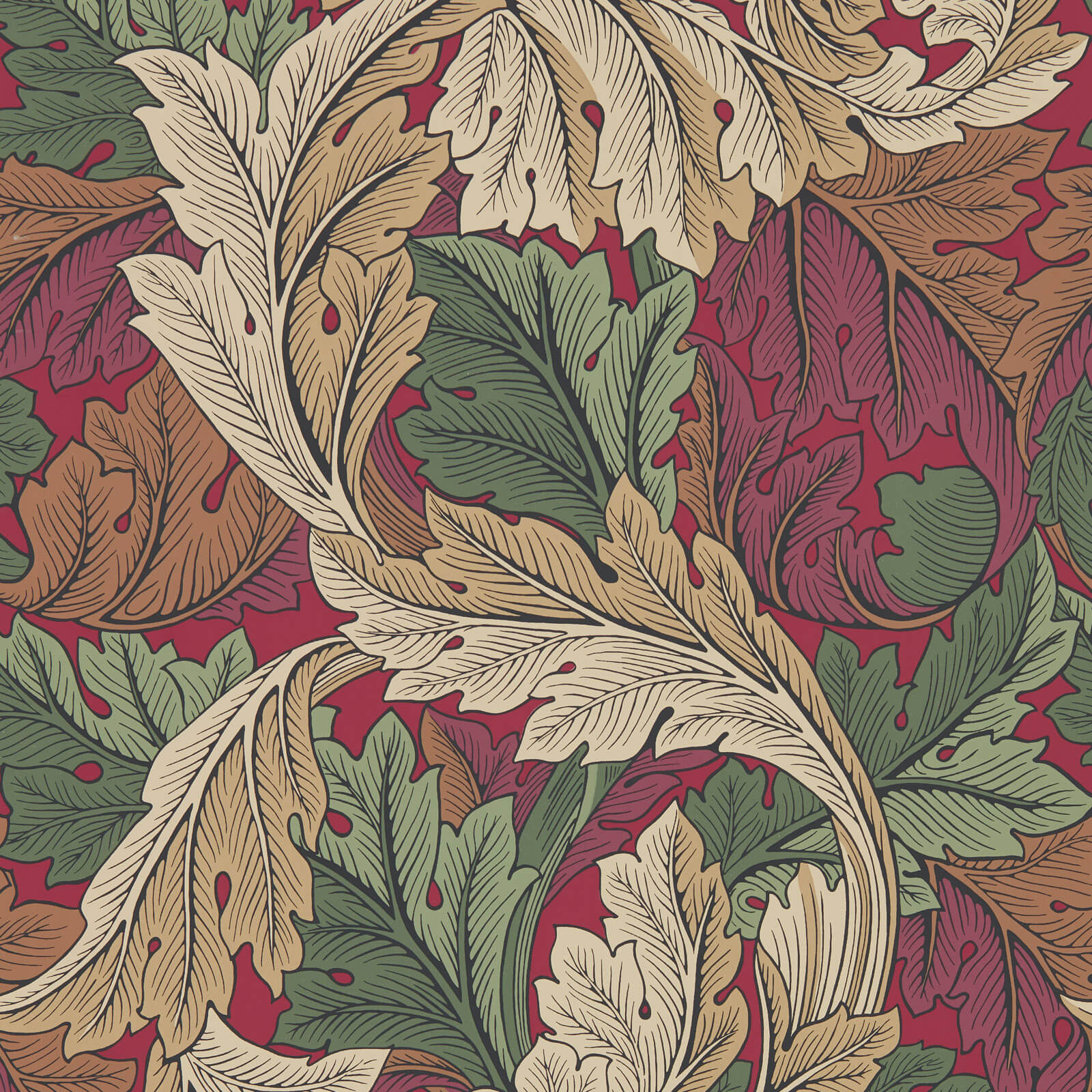 Acanthus Madder/Thyme