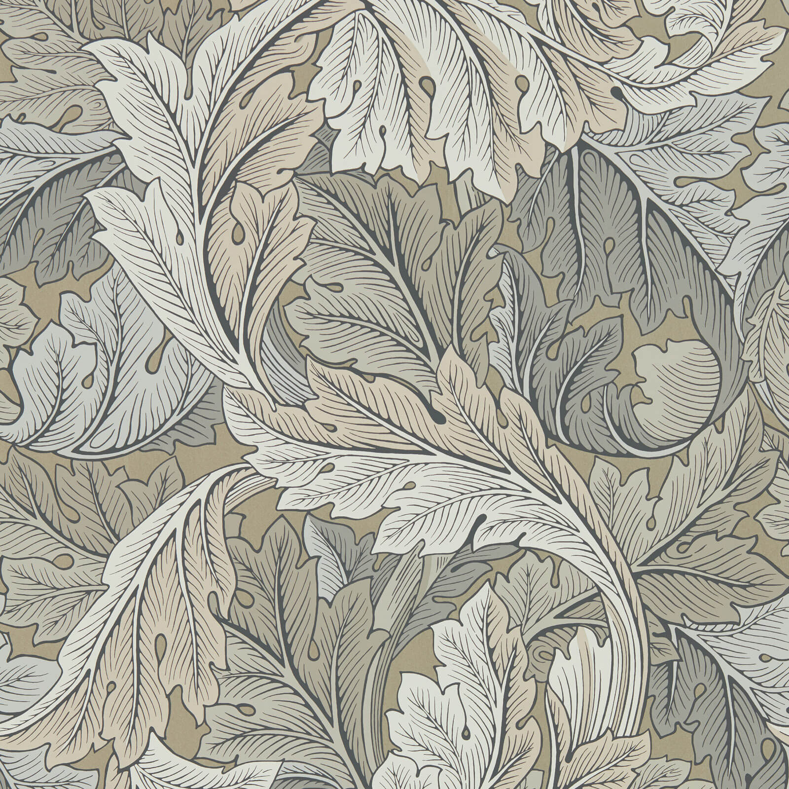 Acanthus Manilla/Stone