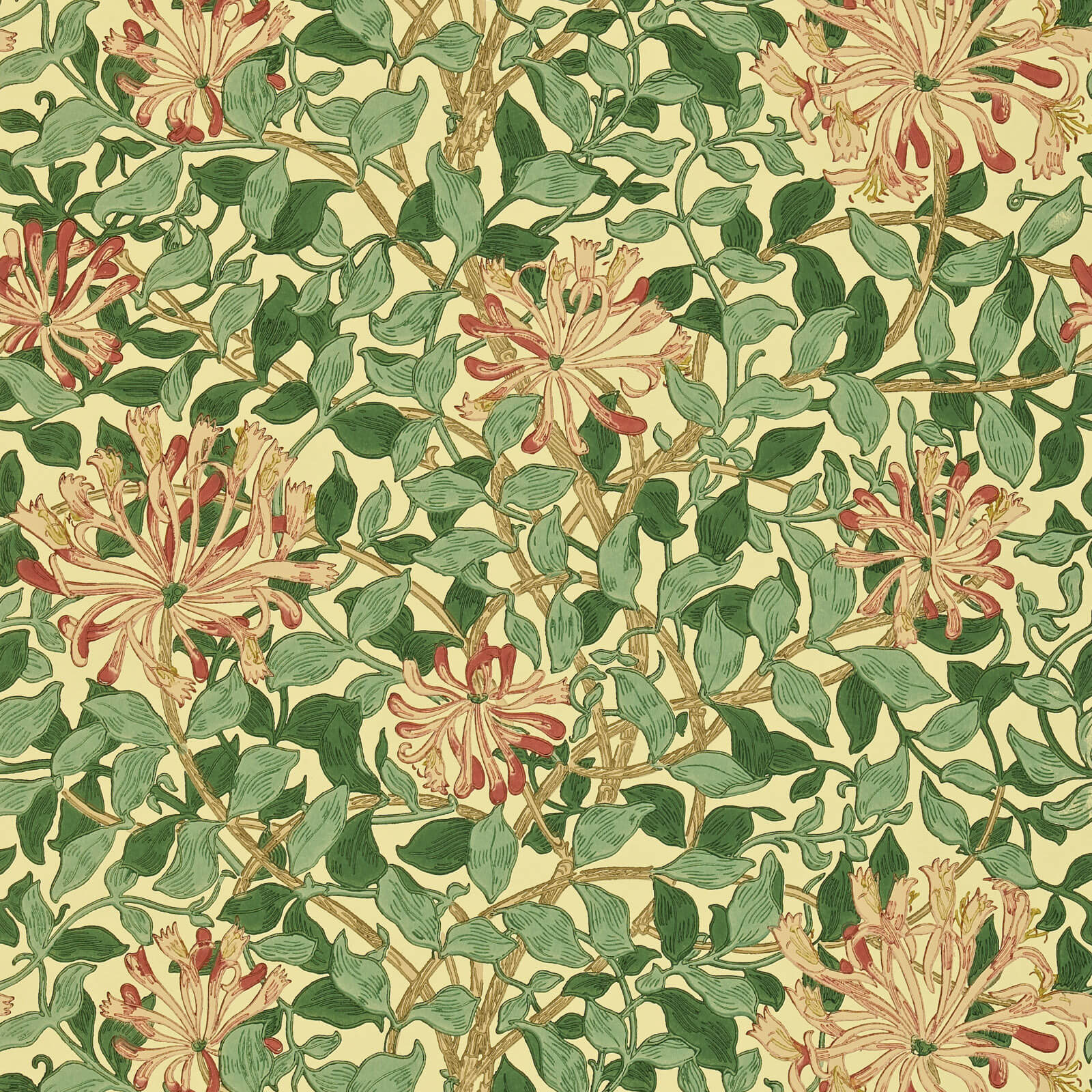 Honeysuckle Green Coral Pink